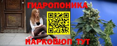 гашик Пыть-Ях