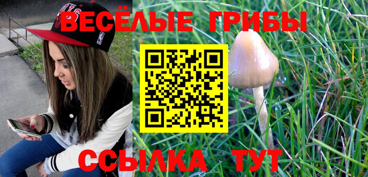 Галлюциногенные грибы ЛСД Пыть-Ях